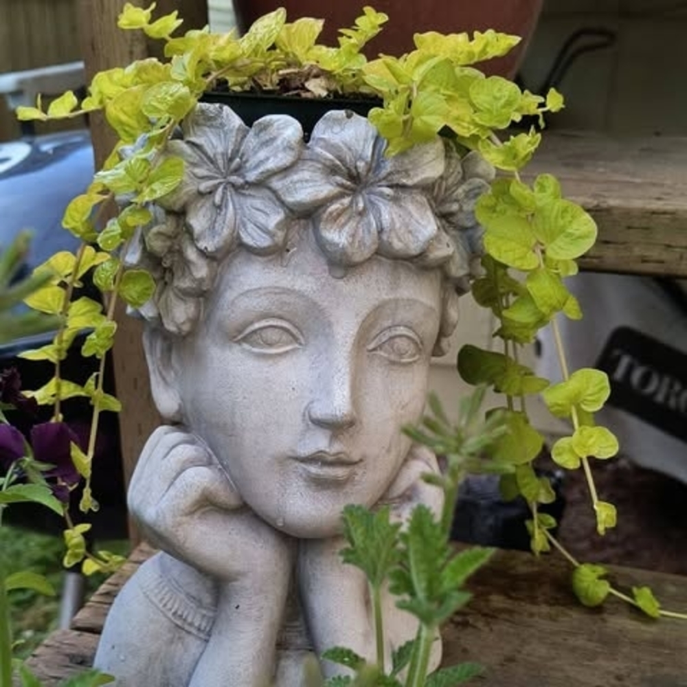 Meet your Posher, Tammy